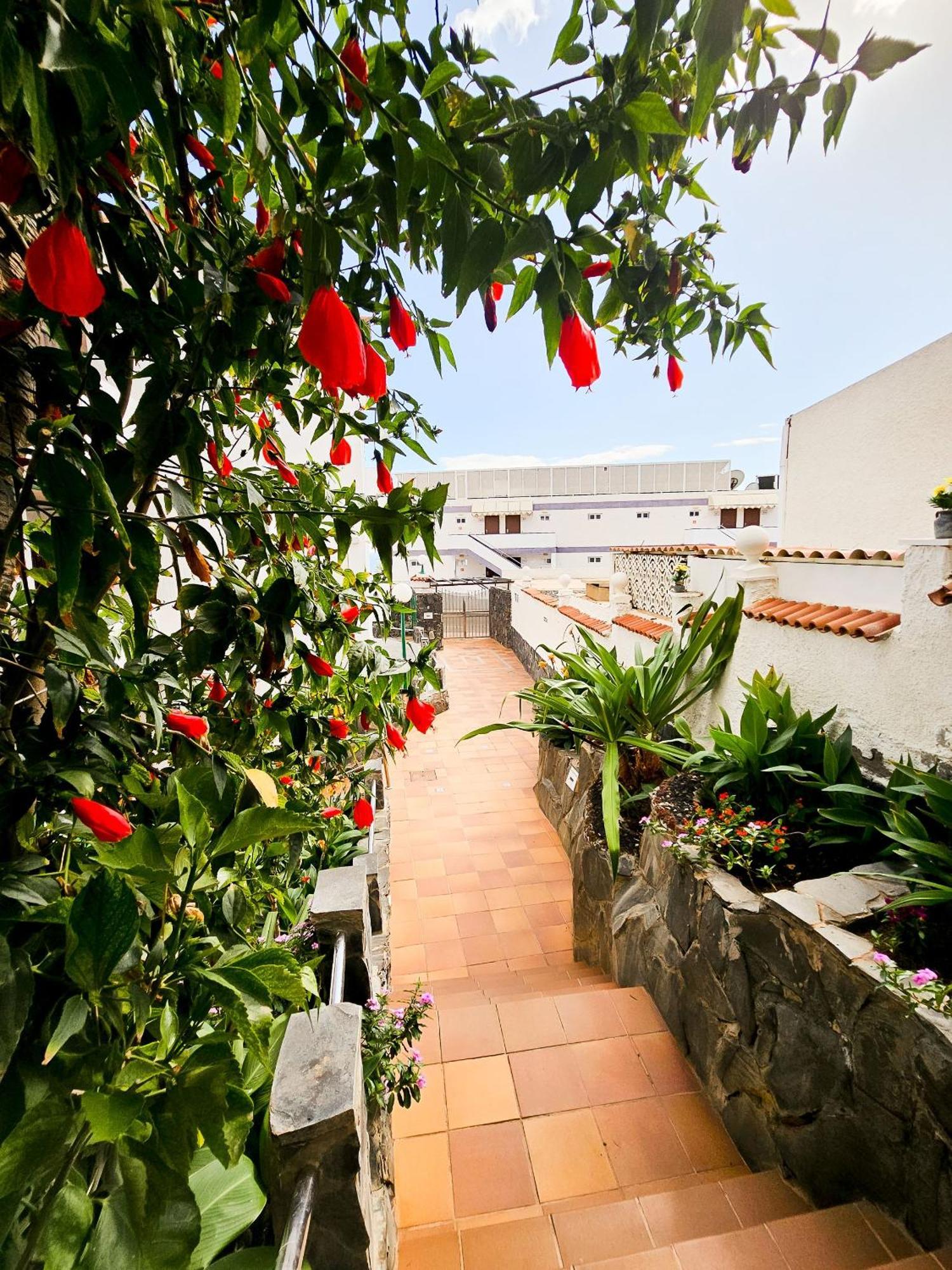 Refugio En El Mar Apartment San Agustin  Exterior photo